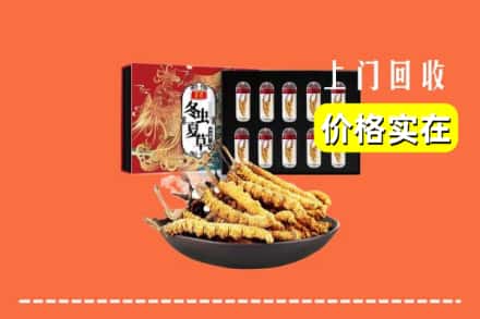 工布江达县回收冬虫夏草